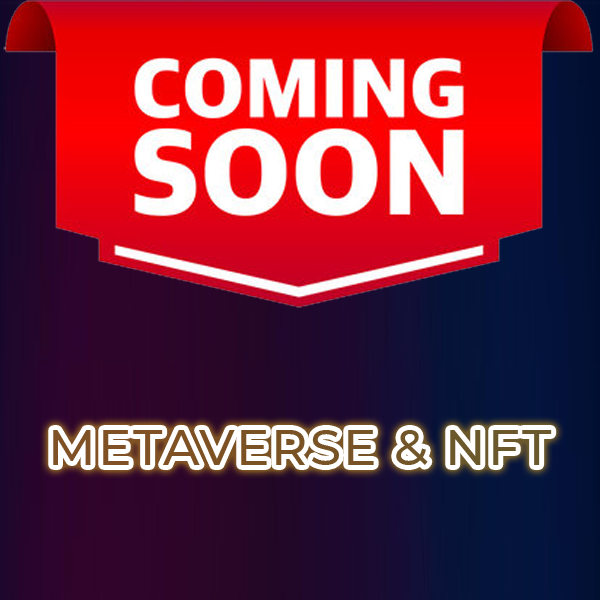 Metaverse & NFT